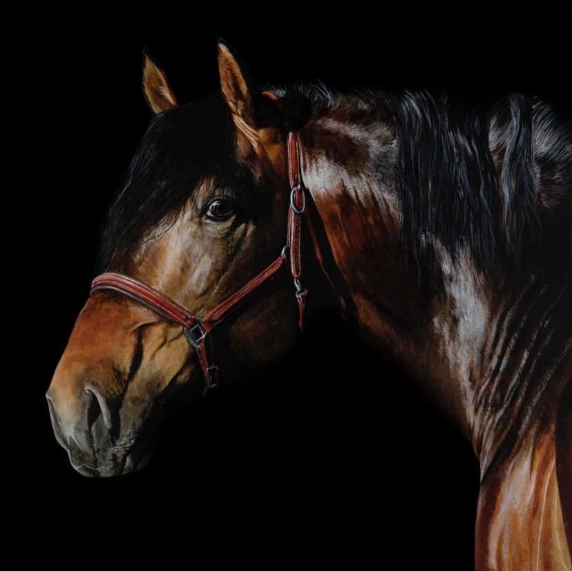 Suil Chinelta limited edition fine print @Tony O Connor - Equine Art